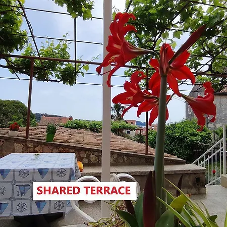 Charmantes Nur 700 Meter Zum Mit Terrasse Und Balkon